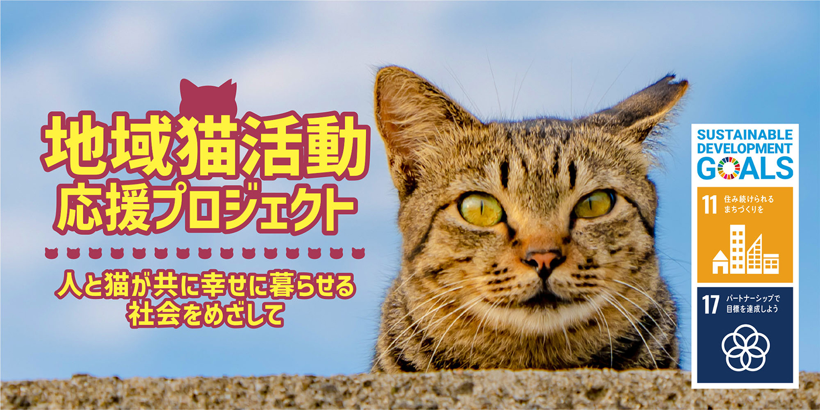地域猫活動を支援しています